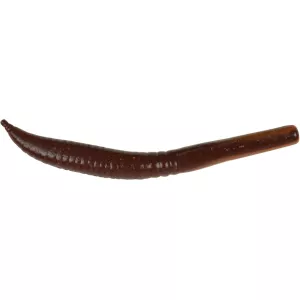 Berkley Gulp! Killer Crawler Nightcrawler 10pk