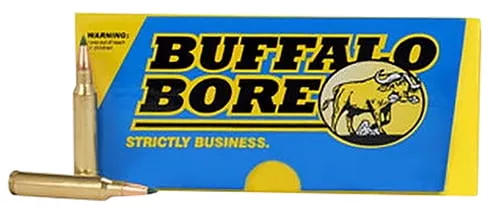 Buffalo Bore Ammunition S22355