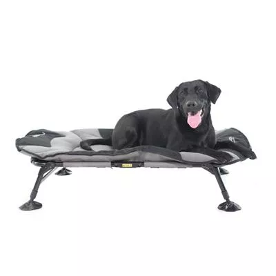 Higdon MOmarsh Home Cot - 44 x 28