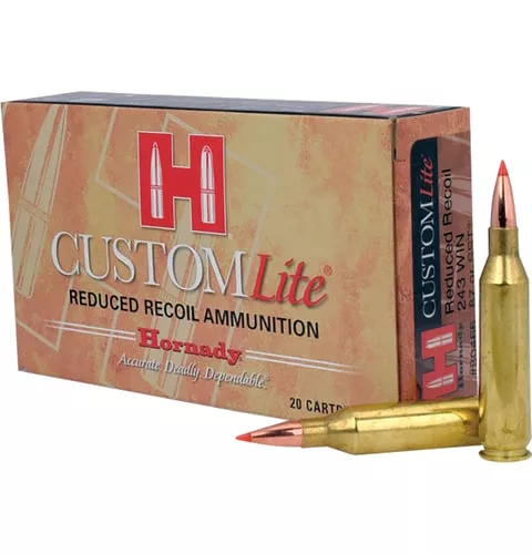HRN 243 87GR CUSTLITE SST 20RD