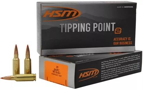 HSM AMMUNITION 6MM ARC 95GR SS