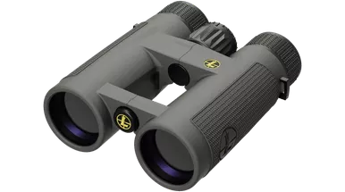Leupold BX-4 Pro Guide HD Binocular - 8X42MM, Grey