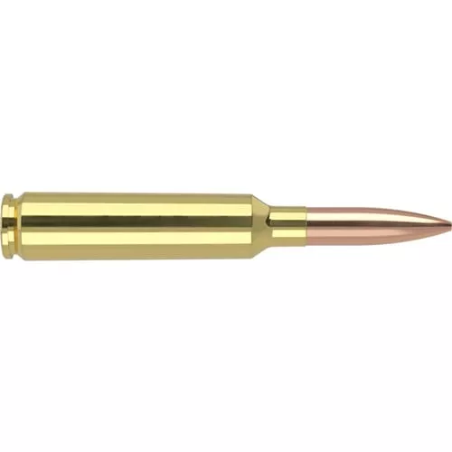 Nosler Match Grade Rifle Ammun