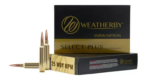 WTHBY B25RPM117LRX 25WBY RPM 1